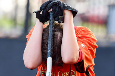 Sparks Babe Ruth League Homeplate